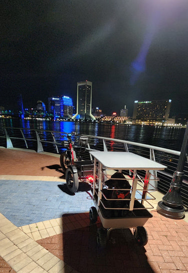 NewModernTrends E-Trikes Emojo Caddy PRO